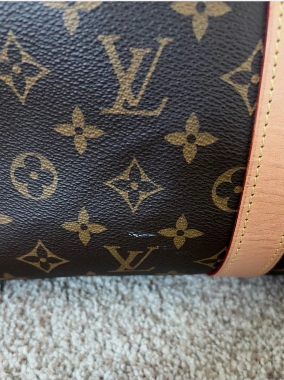 Louis Vuitton iconic lv